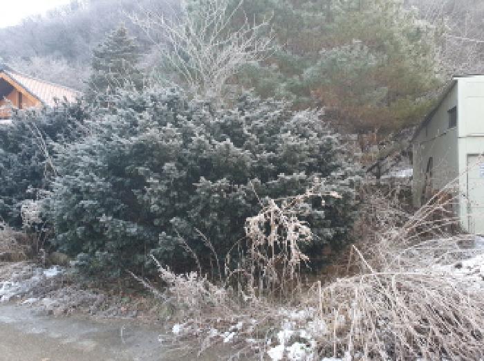 경기 가평군 북면 전답 경매 물건 사진 6 · 2025타경72786