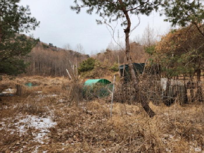 경기 남양주시 별내동 전답 경매 물건 사진