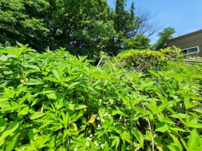 경기 남양주시 진접읍 대지 경매 물건 사진 2 · 2026타경158