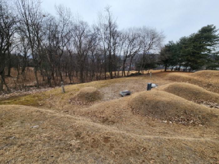 경기 남양주시 일패동 임야 경매 물건 사진