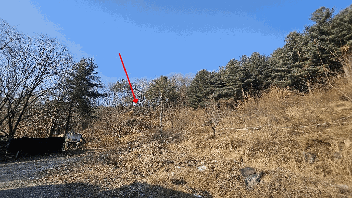 경기 남양주시 진접읍 임야 경매 물건 사진 6 · 2026타경20104