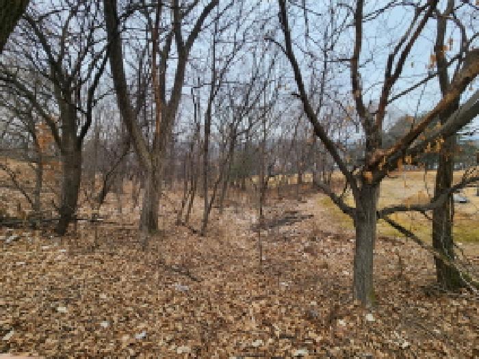경기 남양주시 진접읍 임야 경매 물건 사진