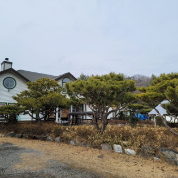 경기 파주시 광탄면 단독주택 경매 물건 사진 3 · 2024타경562