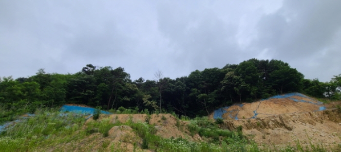 경기 파주시 문산읍 임야 경매 물건 사진 3 · 2024타경71816