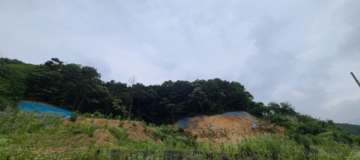 경기 파주시 문산읍 임야 경매 물건 사진 5 · 2024타경71816