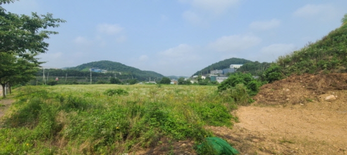 경기 파주시 월롱면 임야 경매 물건 사진