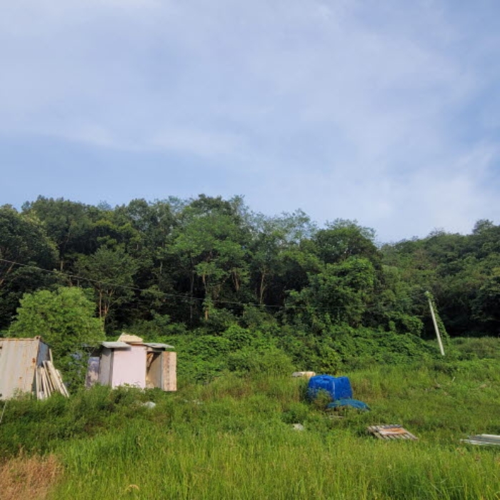경기 파주시 적성면 임야 경매 물건 사진 2 · 2024타경76644