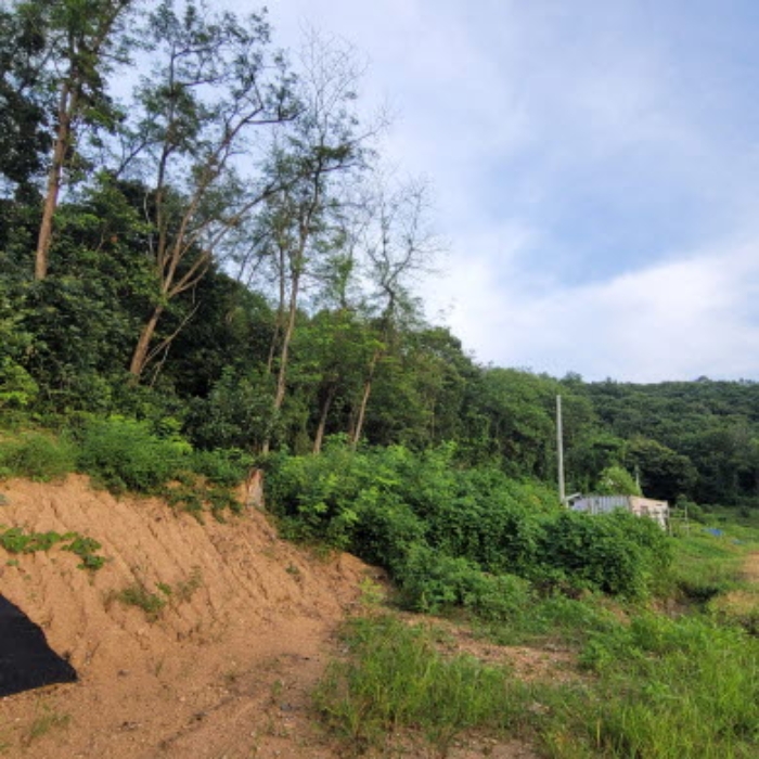 경기 파주시 적성면 임야 경매 물건 사진 5 · 2024타경76644