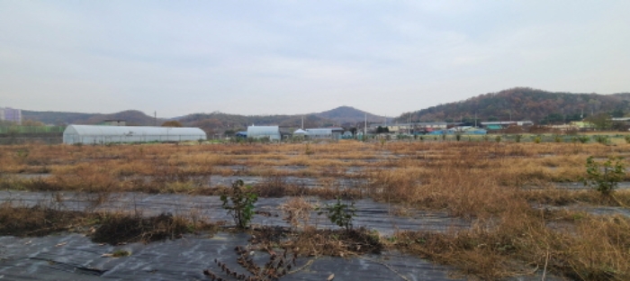 경기 파주시 문산읍 답 경매 물건 사진 4 · 2024타경84089