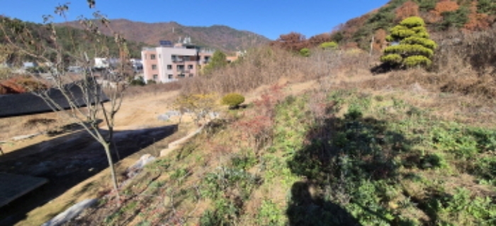 경기 고양시 덕양구 효자동 전답 경매 물건 사진
