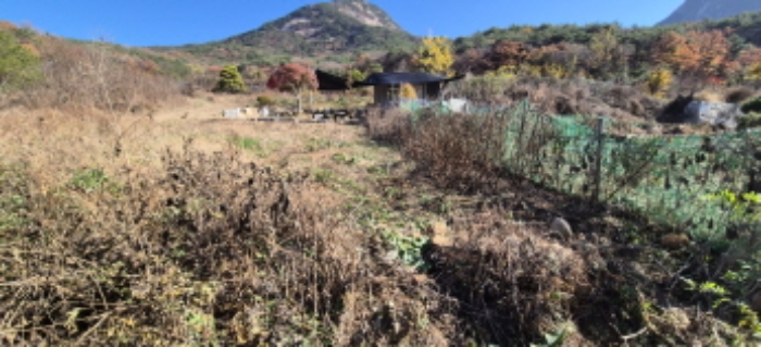 경기 고양시 덕양구 효자동 전답 경매 물건 사진 3 · 2024타경84324