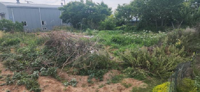 경기 고양시 일산서구 구산동 동물및식물관련시설 경매 물건 사진 6 · 2025타경2244