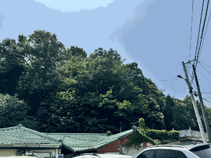 경기 고양시 덕양구 고양동 임야 경매 물건 사진 6 · 2025타경2770