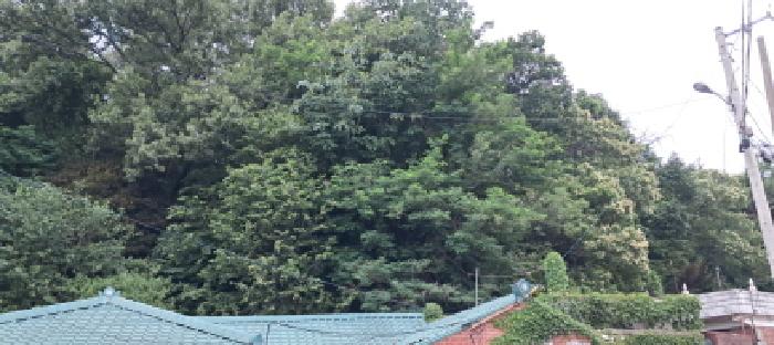 경기 고양시 덕양구 고양동 임야 경매 물건 사진 2 · 2025타경2770