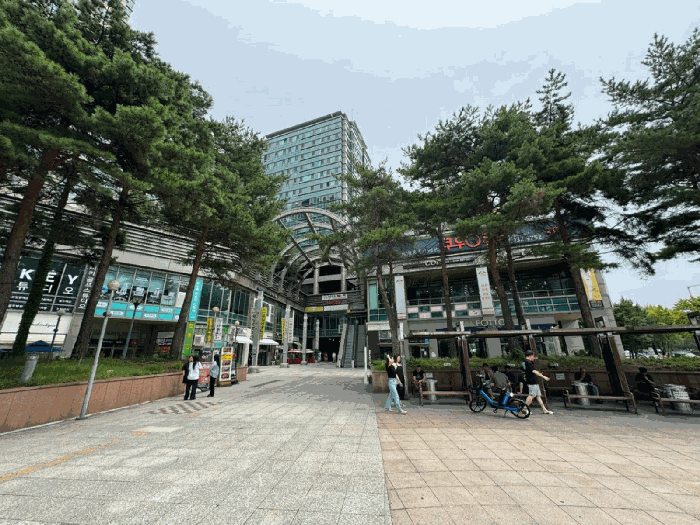 경기 고양시 일산동구 장항동 근린생활시설 경매 물건 사진 6 · 2025타경4004