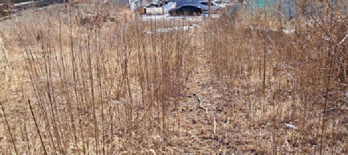 경기 파주시 파주읍 전 경매 물건 사진