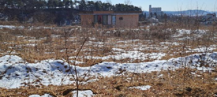 경기 파주시 파주읍 전 경매 물건 사진 3 · 2025타경61847