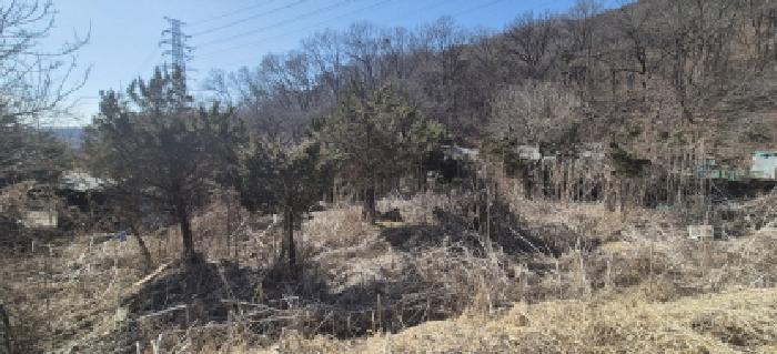 경기 고양시 덕양구 지축동 답 경매 물건 사진 4 · 2025타경62199