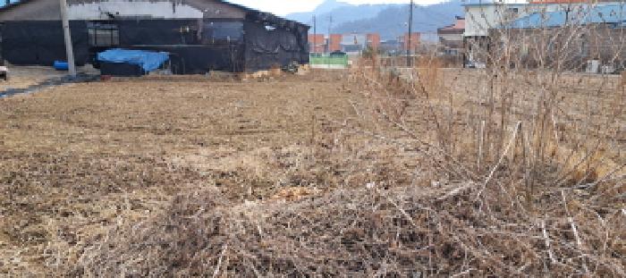 경기 파주시 파평면 단독주택 경매 물건 사진