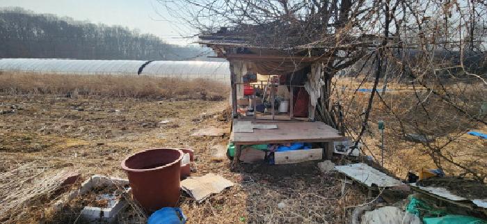 경기 파주시 문산읍 대지 경매 물건 사진 3 · 2025타경62353