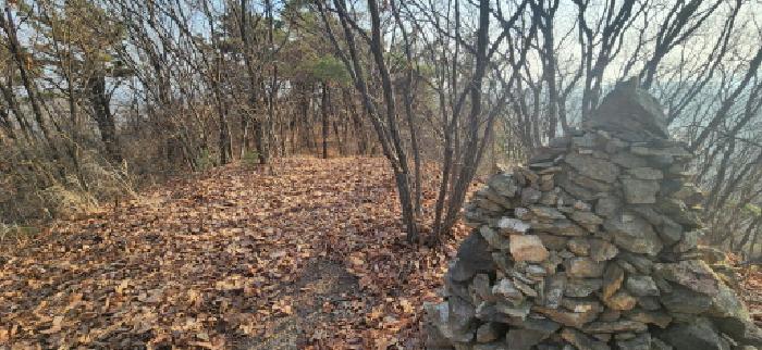 경기 파주시 검산동 임야 경매 물건 사진 6 · 2025타경62383
