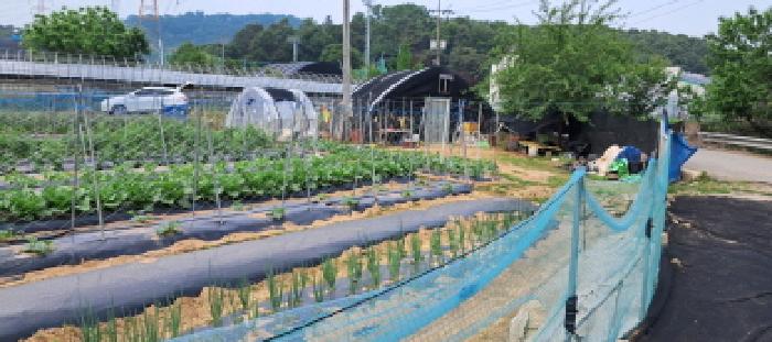 경기 고양시 덕양구 대자동 전답 경매 물건 사진