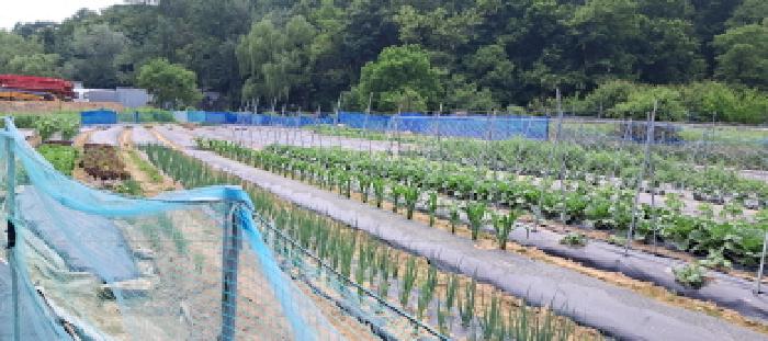경기 고양시 덕양구 대자동 전답 경매 물건 사진 4 · 2025타경63177