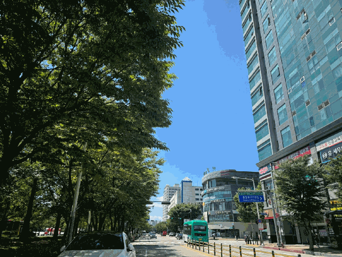 경기도 고양시 일산동구 장항동 771-1 우림로데오스위트 11층1115호 오피스텔 경매 물건 사진