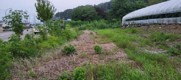 경기 파주시 적성면 대지,임야,전답 경매 물건 사진