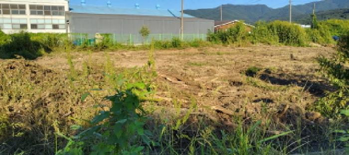 경기 파주시 파평면 임야 경매 물건 사진