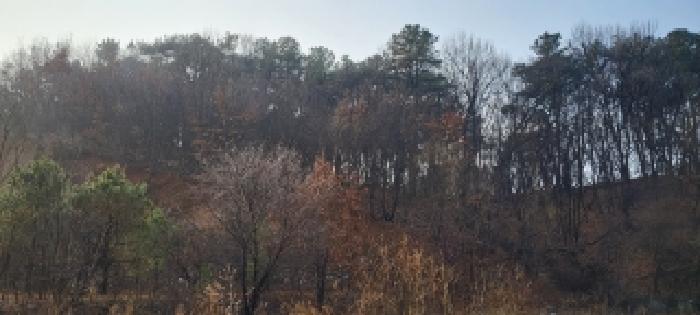 경기 고양시 일산동구 문봉동 도로 경매 물건 사진