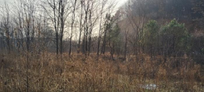 경기 고양시 일산동구 문봉동 도로 경매 물건 사진 2 · 2025타경64451