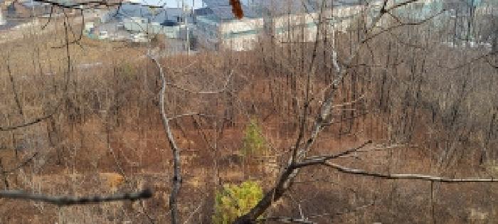 경기 고양시 일산동구 문봉동 도로 경매 물건 사진 5 · 2025타경64451