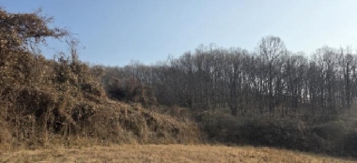 경기 파주시 장단면 대지,임야,전답 경매 물건 사진 4 · 2025타경64638