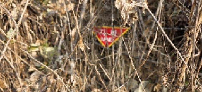 경기 파주시 장단면 대지,임야,전답 경매 물건 사진 6 · 2025타경64638