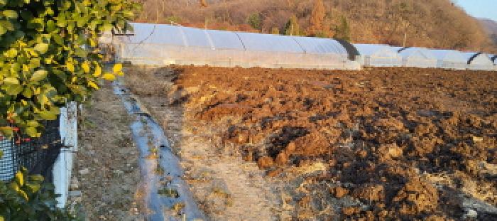 경기 파주시 적성면 전 경매 물건 사진