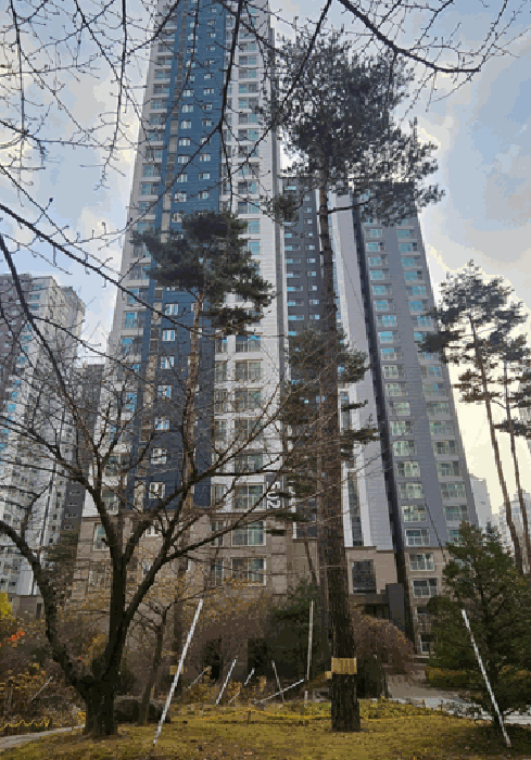경기 고양시 일산서구 덕이동 아파트 경매 물건 사진 6 · 2025타경64791