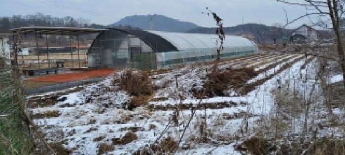 경기 파주시 파주읍 전답 경매 물건 사진
