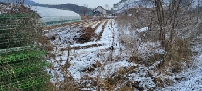 경기 파주시 파주읍 전답 경매 물건 사진 2 · 2025타경64983