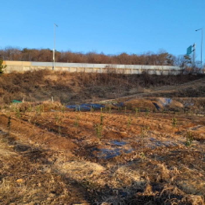 경기 고양시 덕양구 원당동 임야 경매 물건 사진 2 · 2025타경65107