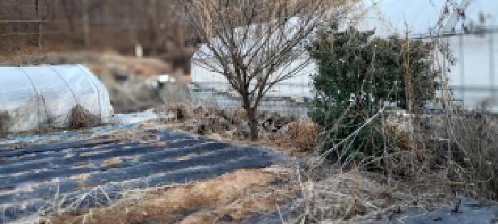 경기 파주시 파평면 대지,임야,전답 경매 물건 사진 5 · 2025타경65145