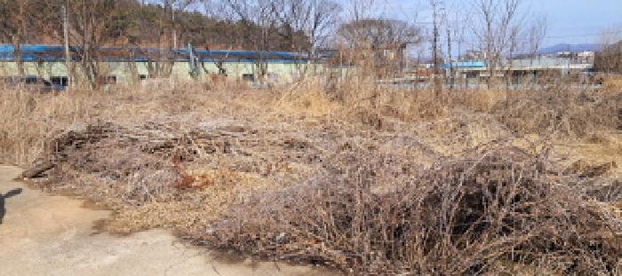 경기 고양시 일산동구 성석동 전답 경매 물건 사진 4 · 2025타경804