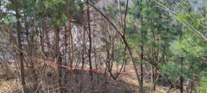 경기 고양시 덕양구 고양동 임야 경매 물건 사진 2 · 2026타경1231