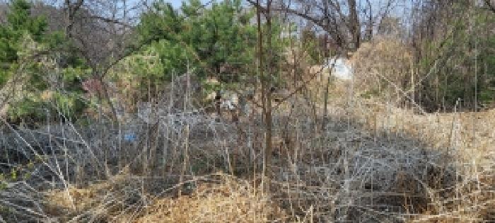 경기 고양시 덕양구 고양동 임야 경매 물건 사진