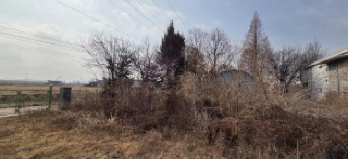 경기 고양시 일산서구 구산동 동물및식물관련시설 경매 물건 사진 3 · 2026타경60142