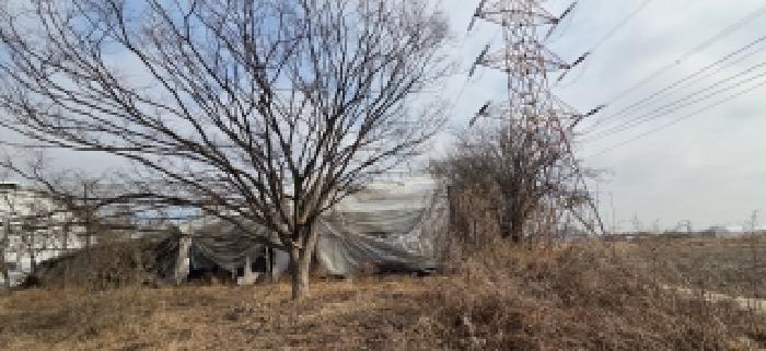 경기 고양시 일산서구 구산동 동물및식물관련시설 경매 물건 사진 5 · 2026타경60142