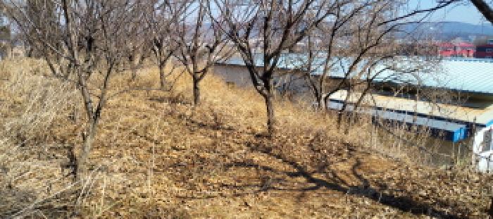 경기 고양시 일산동구 지영동 임야 경매 물건 사진