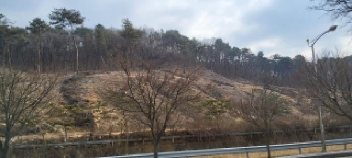 경기 고양시 덕양구 대자동 대지,임야,전답 경매 물건 사진 2 · 2026타경60331