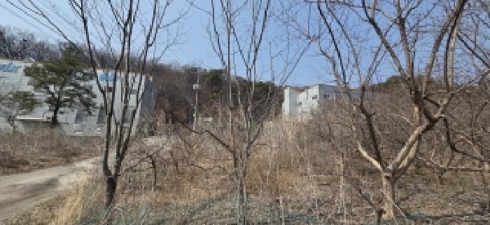 경기 파주시 검산동 공장/지식산업센터 경매 물건 사진