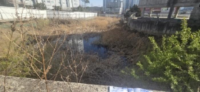 경기 파주시 문산읍 잡종지 경매 물건 사진 2 · 2026타경60822
